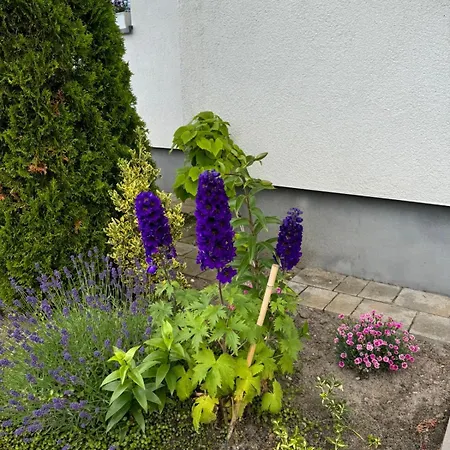 Apartmán Relaksowa Karwia